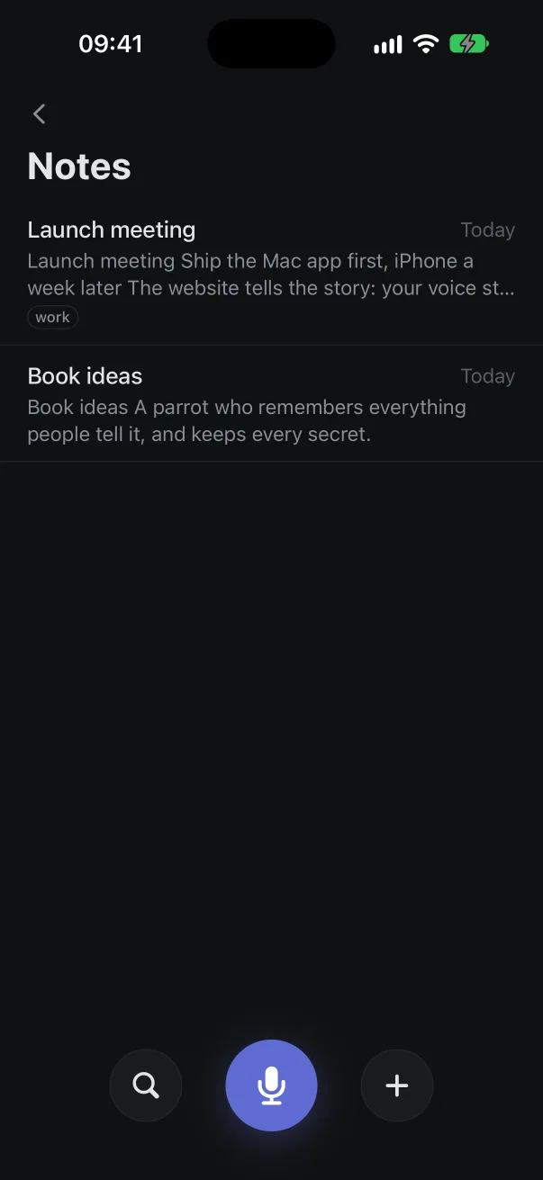 Yappa's notes on iPhone.
